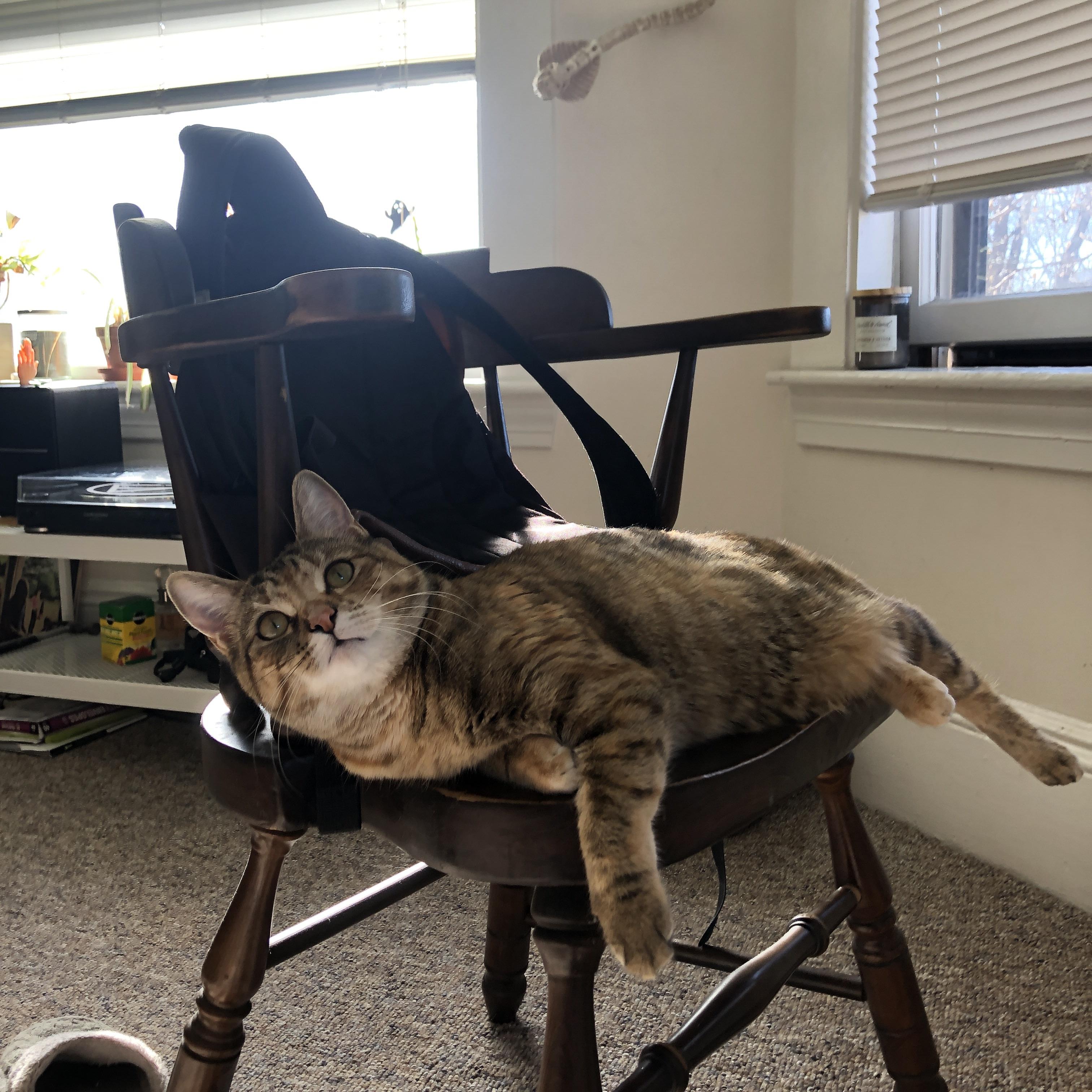 “中超俱乐部年度总结会成功举办”，中超各俱乐部所属公司