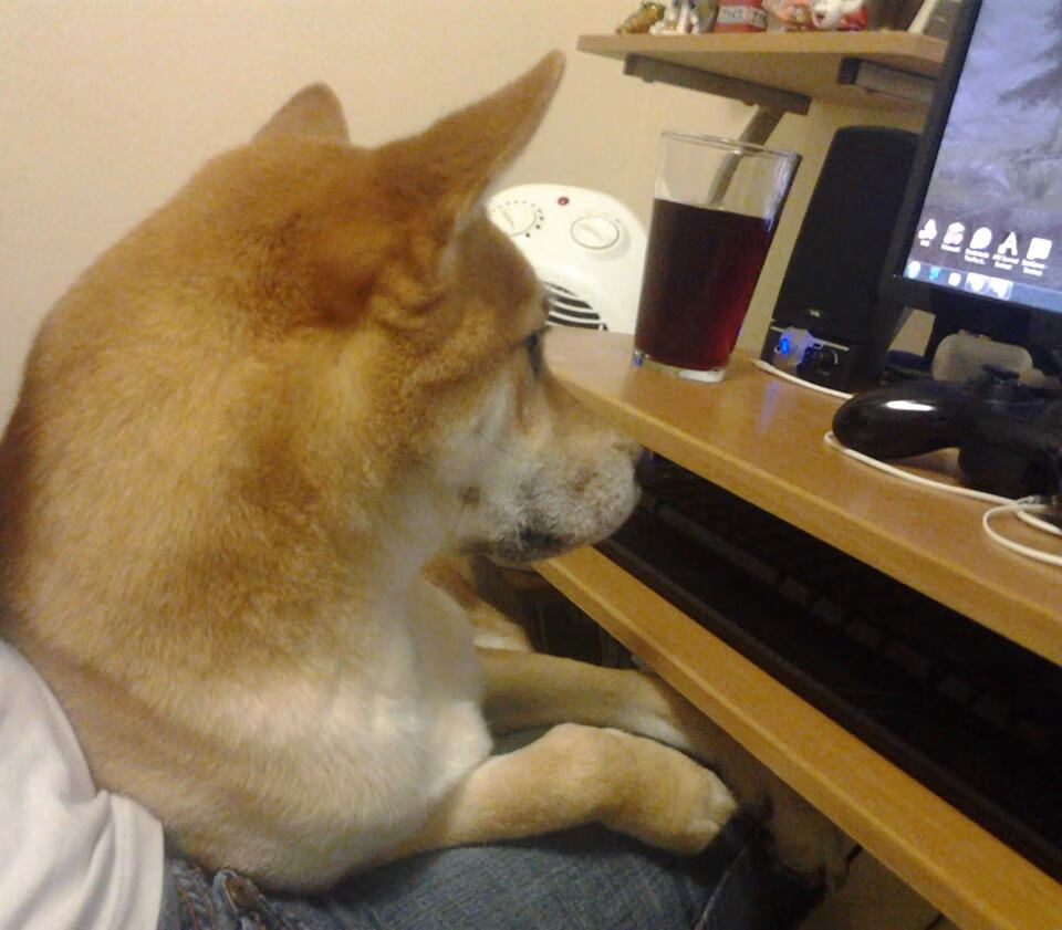 “德甲最后冲刺:争冠队伍形势逐渐明朗”,德甲最后一轮看点