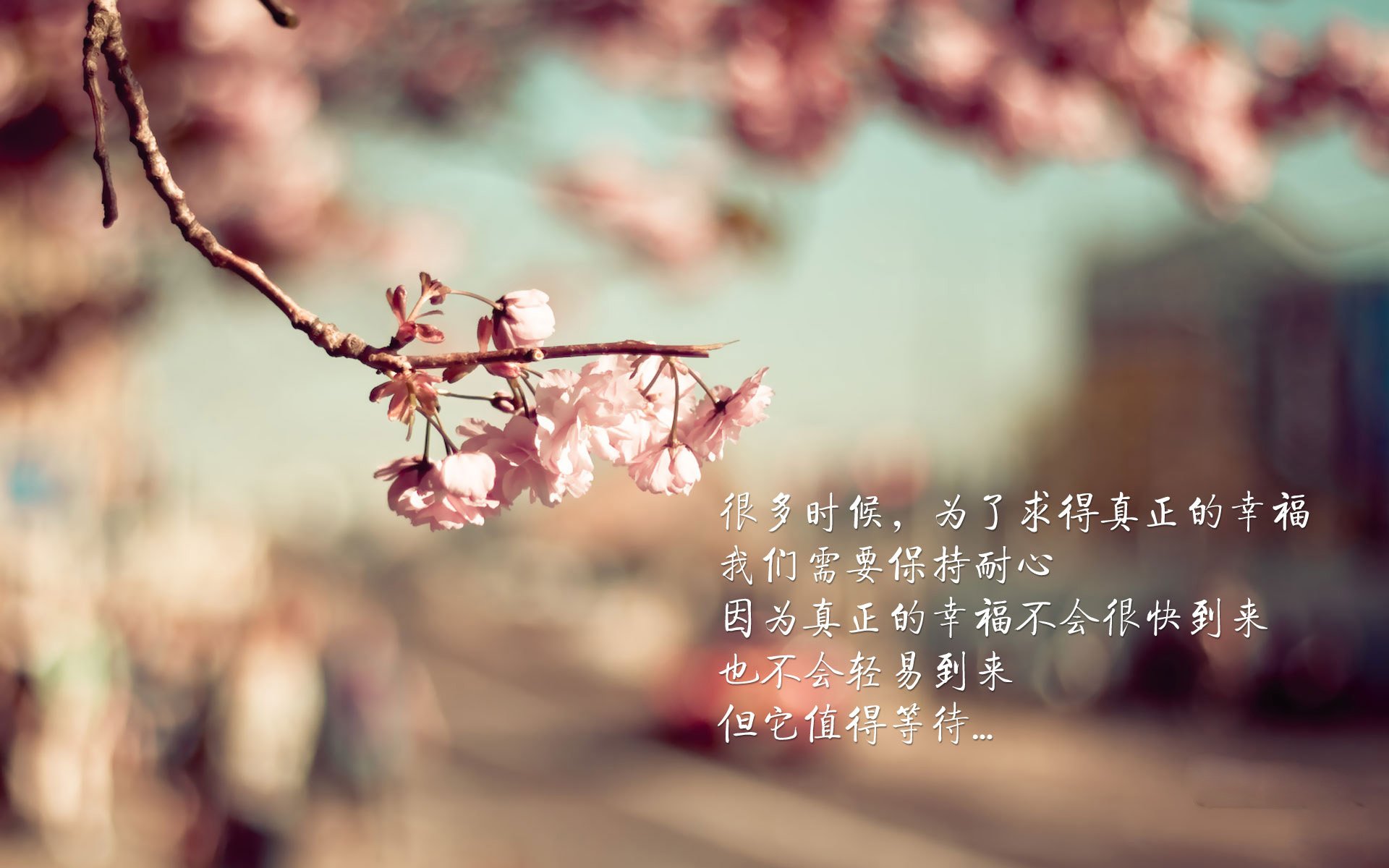 “极端天气：暴雨和大雪中的生死一瞬”，极端天气遇难