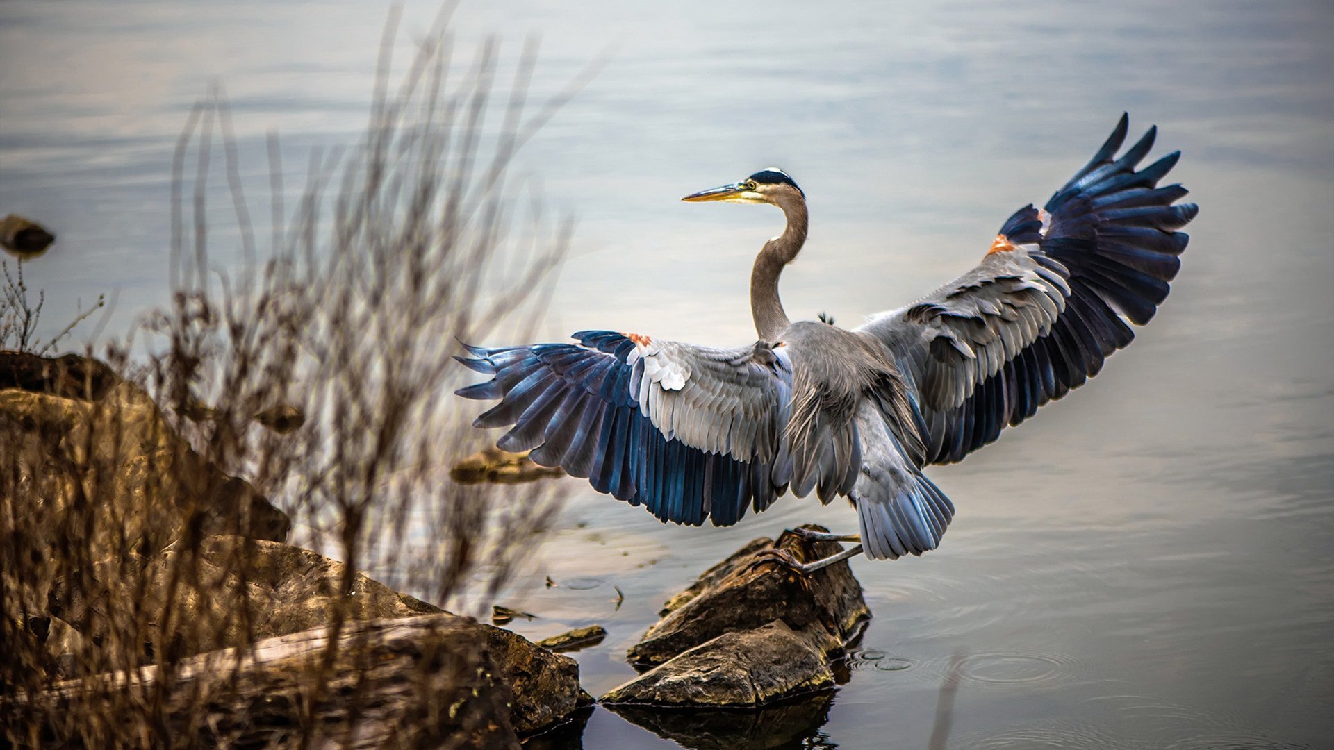 中超多队加强防线外援配置变化明显，中超联赛外援政策