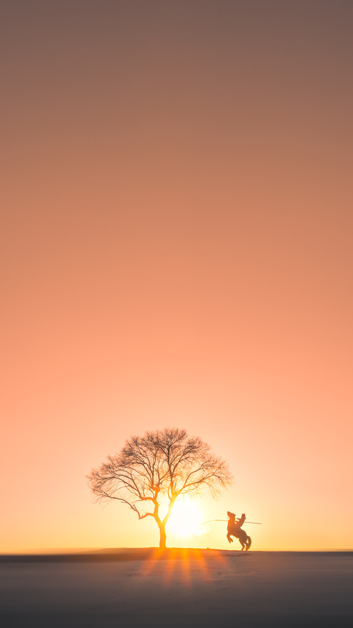 新远景：未来足球场馆将实现“绿色智慧+全智能管理”，足球场管理系统